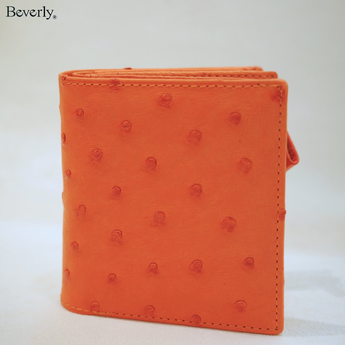 Bifold Wallet in Ostrich Leather