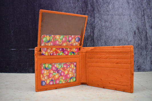 170D.S Bifold Wallet in Ostrich Leather